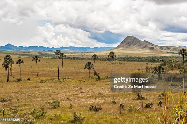 green fields - chapada dos veadeiros stock-fotos und bilder