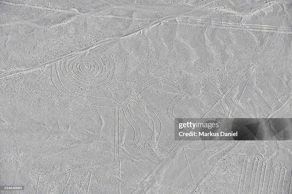 Aerial view of "The Monkey" Nazca Lines, Peru