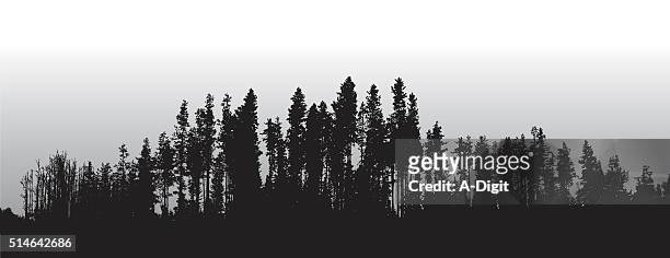 illustrations, cliparts, dessins animés et icônes de lodge pôle pins limite des arbres - bordé d'arbres