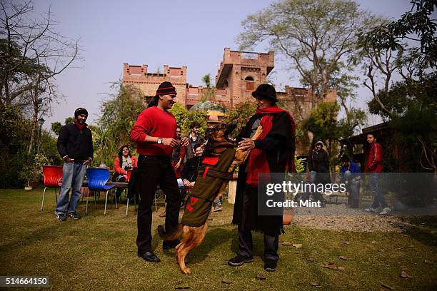 Nitin Rai Brownie The Dog Photos and Premium High Res Pictures - Getty Images
