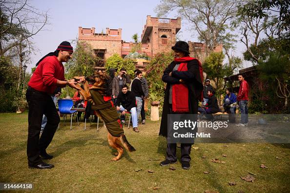 Nitin Rai Eminent Photographer Raghu Rai with his son Nitin Rai, dog Brownie ...