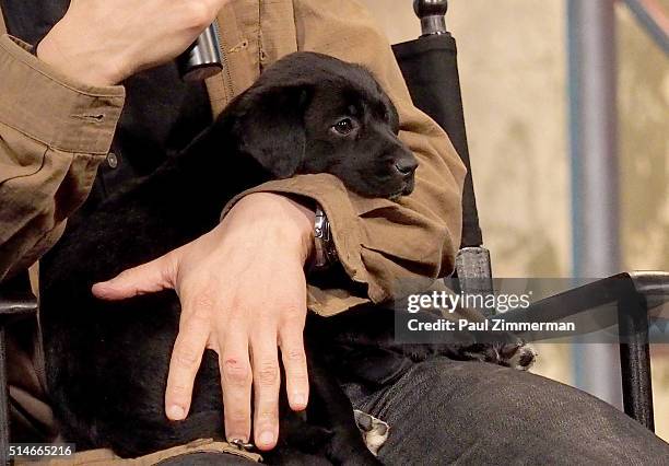 Dustin Feldman attends the AOL Build Speakers Series - Karissa Hadden and Dustin Feldman, "Animal Storm Squad" at AOL Studios In New York on March...