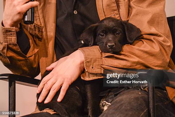 Dustin Feldman attends AOL Build Speakers Series - Karissa Hadden and Dustin Feldman, "Animal Storm Squad" at AOL Studios In New York on March 10,...