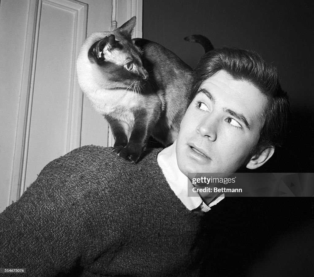 Siamese Cat on Anthony Perkins' Shoulder