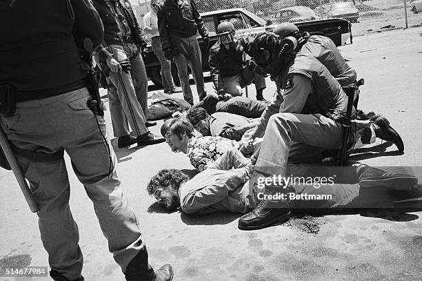 Police bind the hands of demonstrators who were subdued during a clash with 2, 000 demonstrators marching on a University of California at Berkeley...