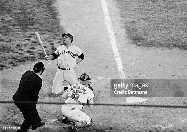 San Francisco Giant Willie Mays screams and writhes after the pitcher throws the ball into his back during a game against the Saint Louis Cardinals.