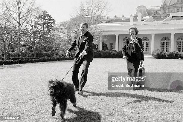 President Ronald Reagan and British Prime Minister Margaret Thatcher walk Reagan's dog Lucky on the White House lawn.