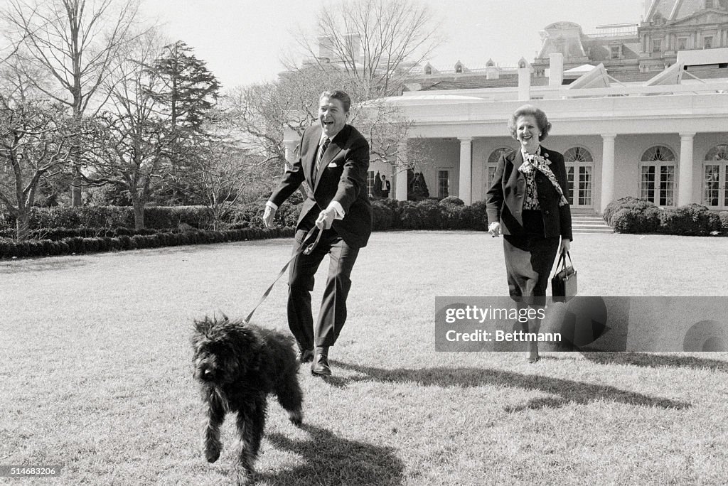 Thatcher and Reagan Walking Dog