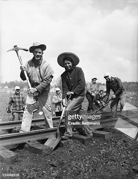 Cheverly, MD: Imported from the state of Calisco, Central Mexico, on six month permits, these men are two of the 56 section hands now working for the...