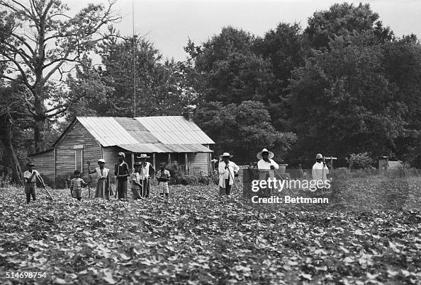 Tenant Farmer Family Standing in Field