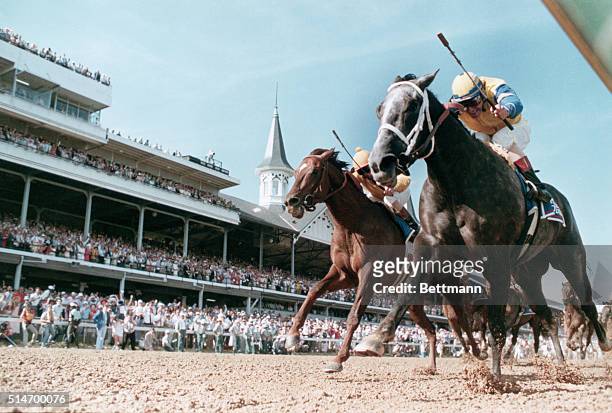 Winning Colors wins the Kentucky Derby on May 7, 1988. Forty Niner is second, Louisville, Kentucky.