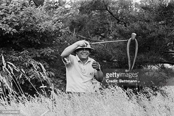 Ardmore, PA: Hammin' it up in the rough of the Merion Country Club, Lee Trevino pulls a snake out of the grass with his club much to the amazement of...