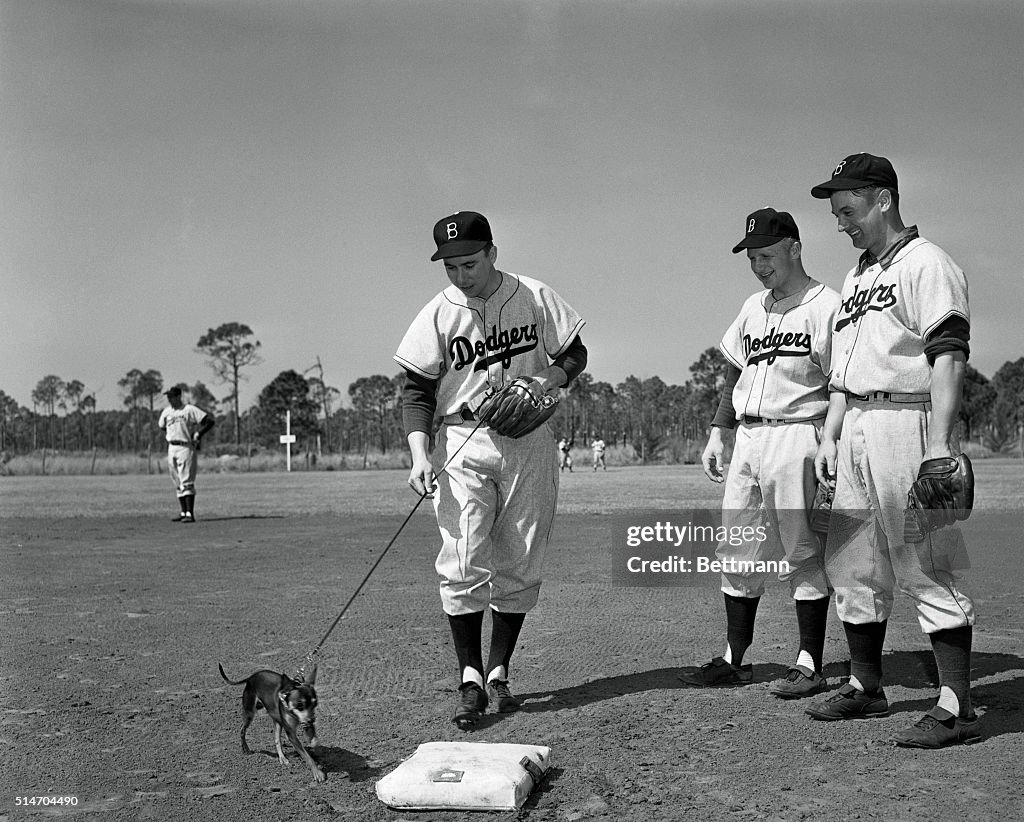 Baseball Players Lead Pet Dog Around Bases