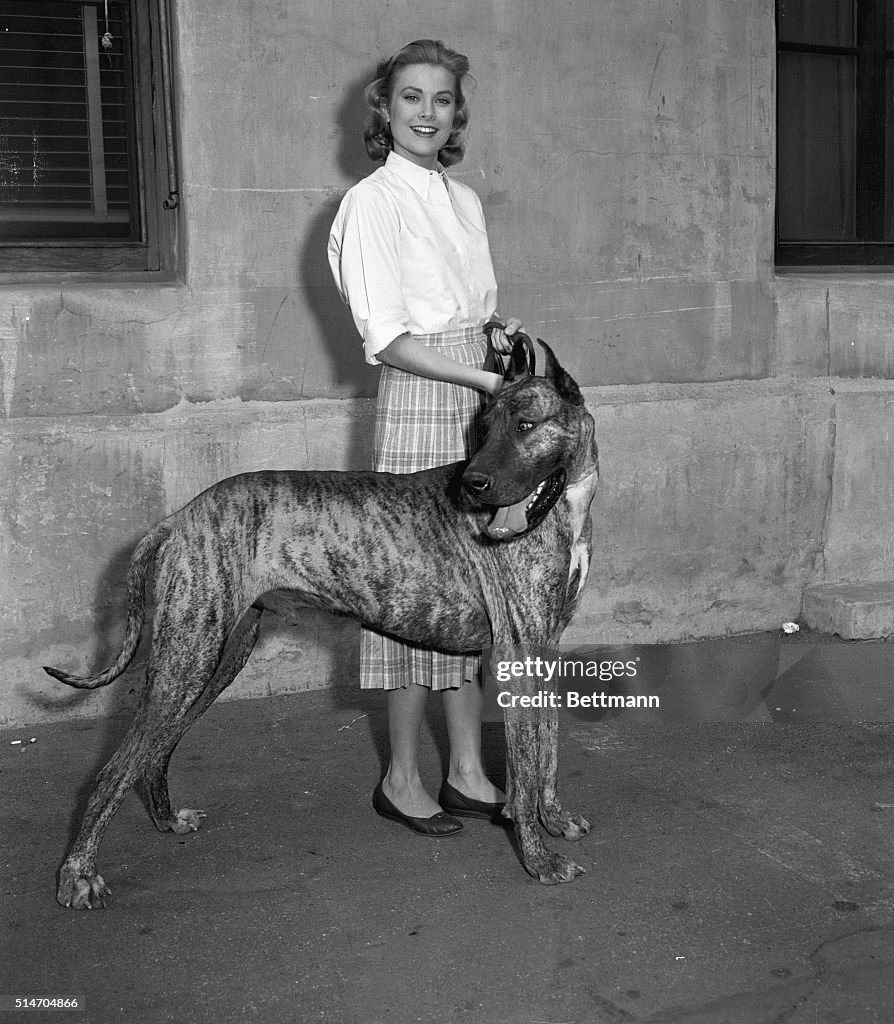 Grace Kelly On Stroll With Great Dane