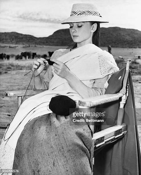 Durango, Mexico: Tending to her knitting, Audrey Hepburn gets started on a black cashmere sweater on location at Durango, Mexico. She's filming...