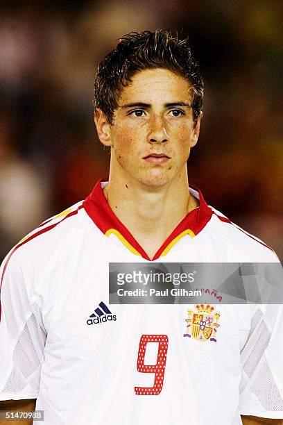 Portrait of Fernando Torres of Spain prior to the group seven 2006 World Cup qualifying match between Spain and Belgium at El Sardinero Stadium on...