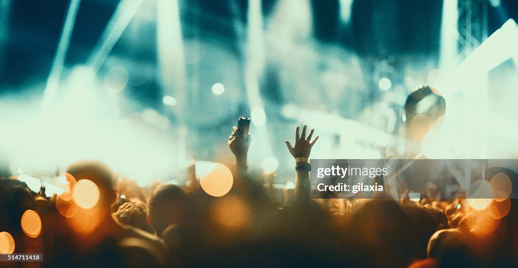 Concert crowd.