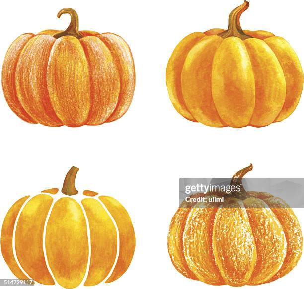 bildbanksillustrationer, clip art samt tecknat material och ikoner med pumpkin - pumpa