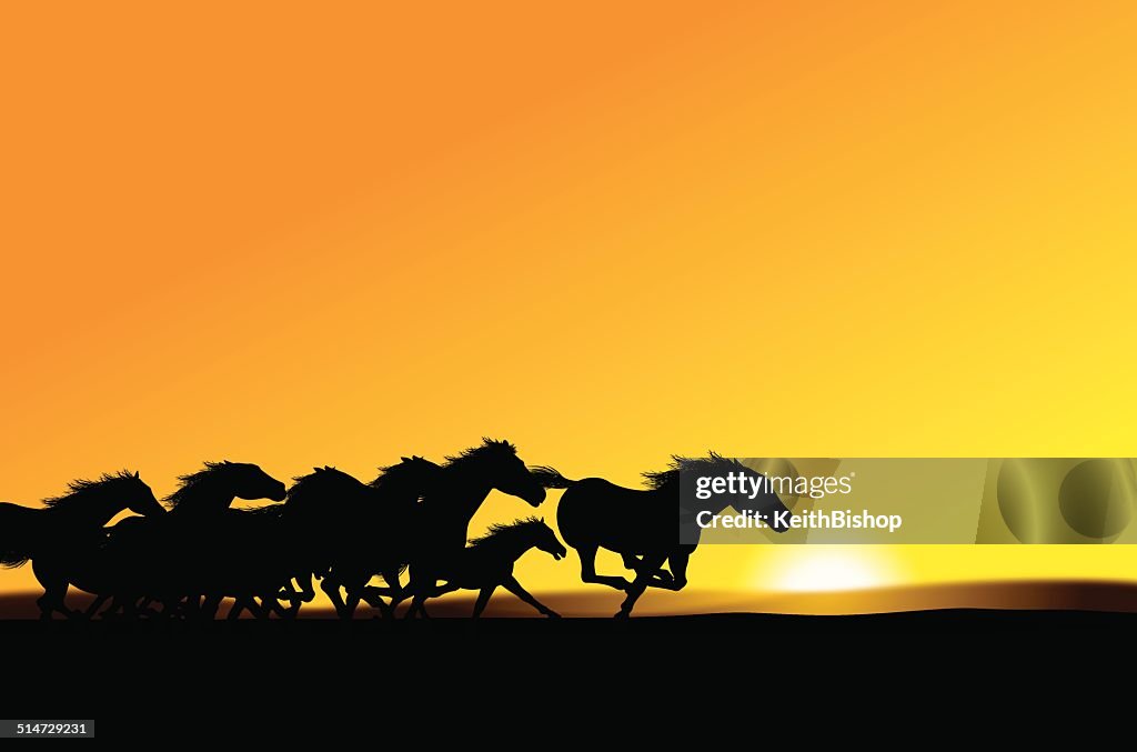Wild Horses - Stampede Background