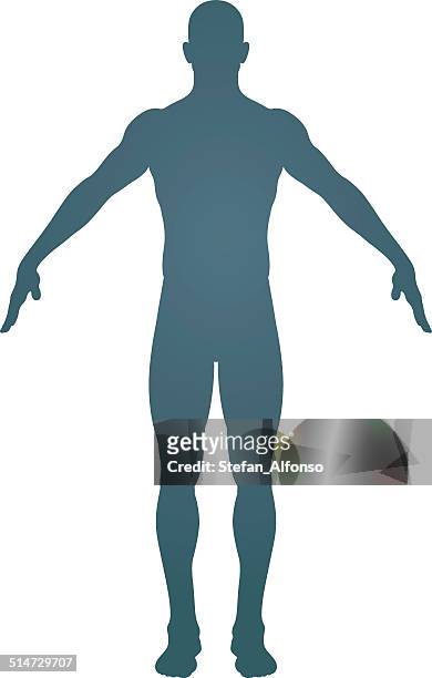 illustrazioni stock, clip art, cartoni animati e icone di tendenza di silhouette del corpo umano - parte del corpo umano