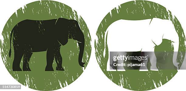 elephant - elephant white background stock illustrations