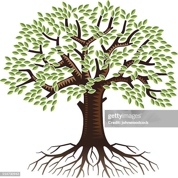 big tree with roots - tree root stock illustrations