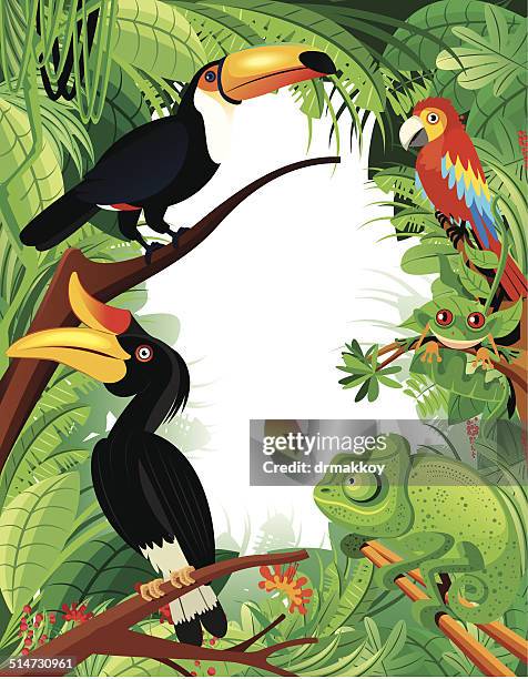 tropical rainforest - borneo rainforest stock illustrations