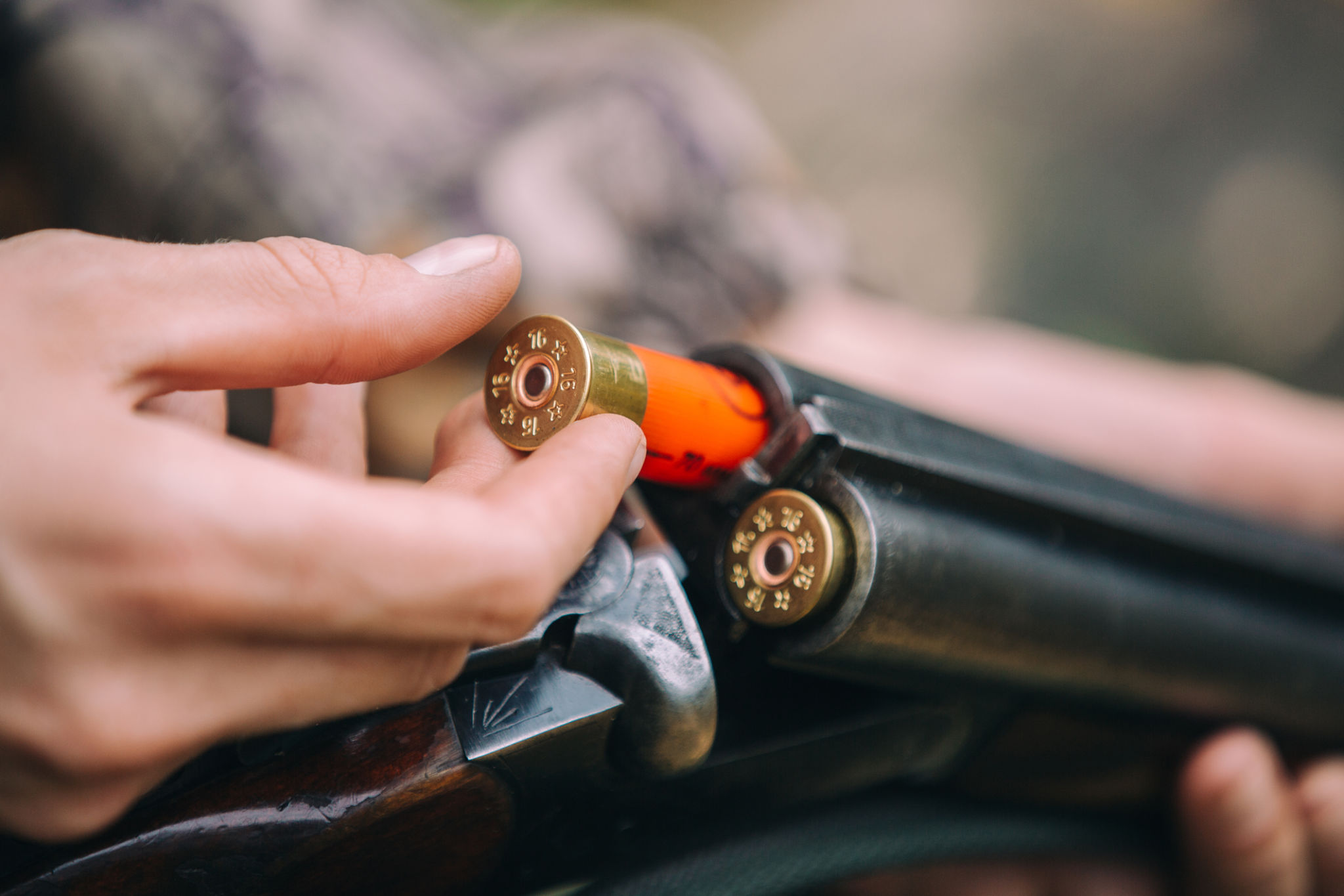 ammunition cartridges