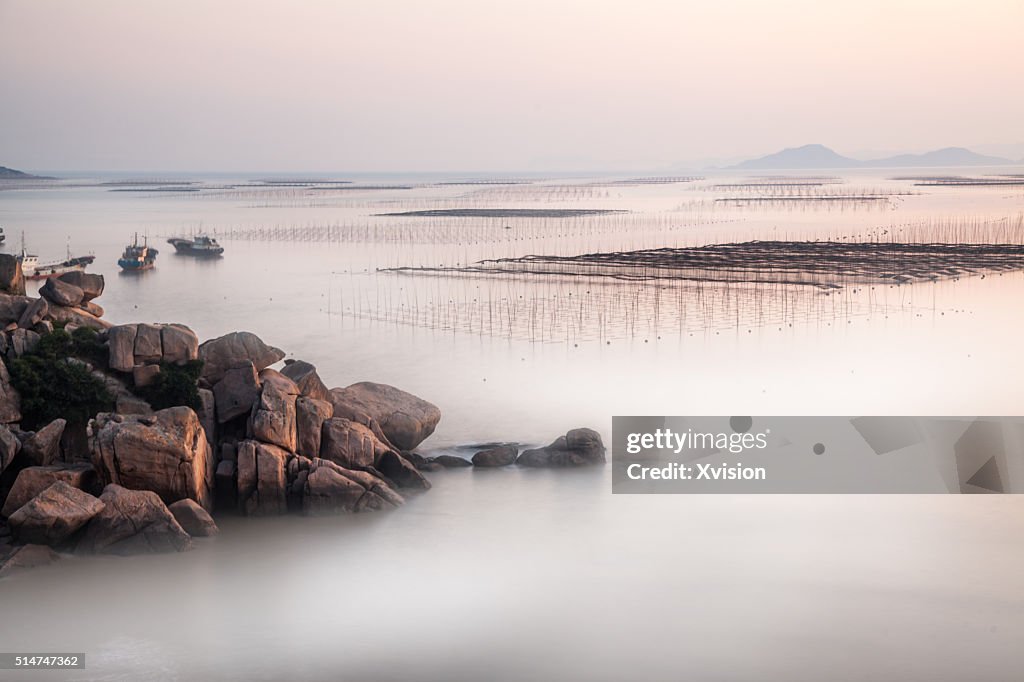 Nori cultured in the sea in Xiapu city, Fujian Province"n