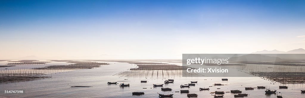 Nori cultured in the sea in Xiapu city, Fujian Province"n