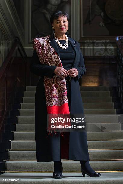 Patricia Scotland, Baroness Scotland of Asthal, poses for a photograph in Marlborough House on March 10, 2016 in London, England. Patricia Scotland...