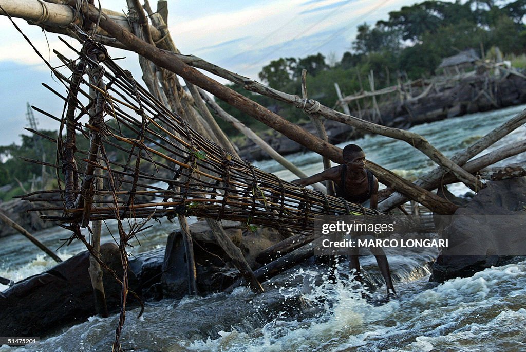 A Wagenia fisherman sets his fishing tra