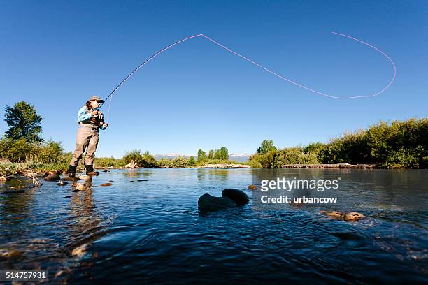 fly fishing, casting - montana western usa stock pictures, royalty-free photos & images