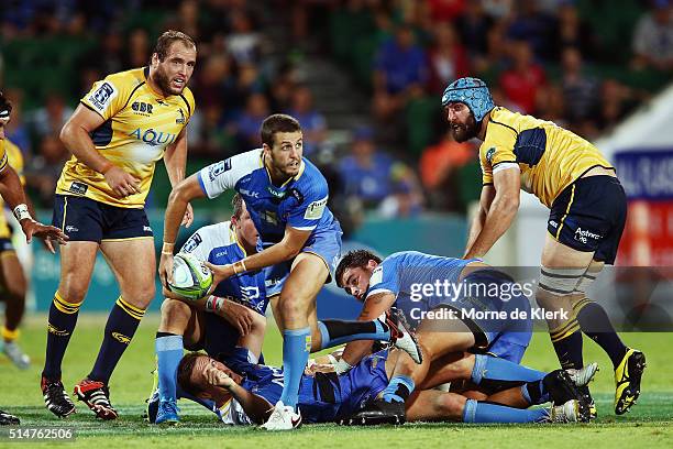 Gui Ruck 269 Ian Prior Western Force Stock Photos, High-Res Pictures, and Images ...
