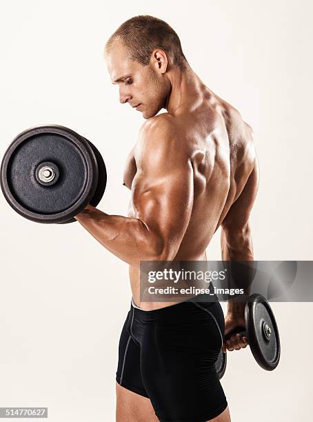 bodybuilder exercice - musculation des biceps photos et images de collection