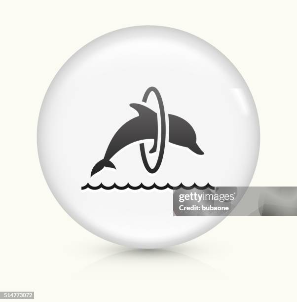 jumping dolphin icon on white round vector button - dolphin jumping stock illustrations