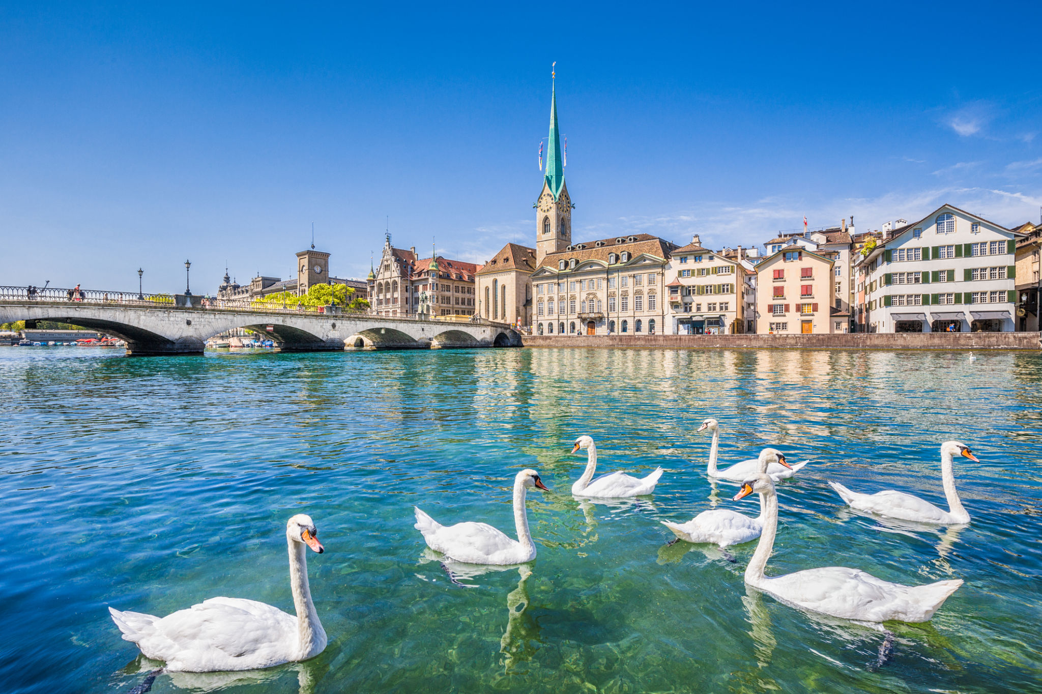 zurich lake summer