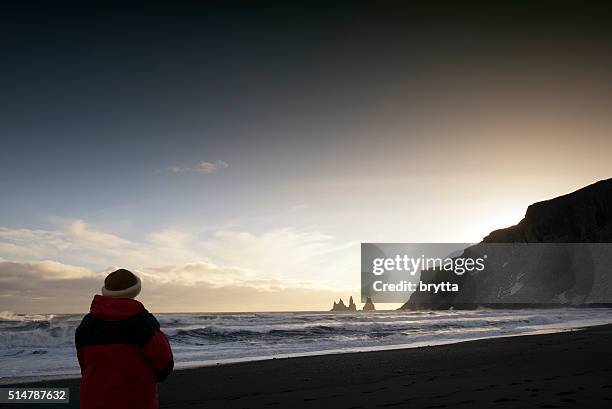 woman  looking at the reynisdrangar basalt sea stacks , vik,iceland - black sand stock pictures, royalty-free photos & images