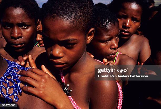 Maidens line up to dance at the Royal Palace during the annual Reed Dance on September 11, 2004 in Nongoma in rural Natal, South Africa. About 20,000...