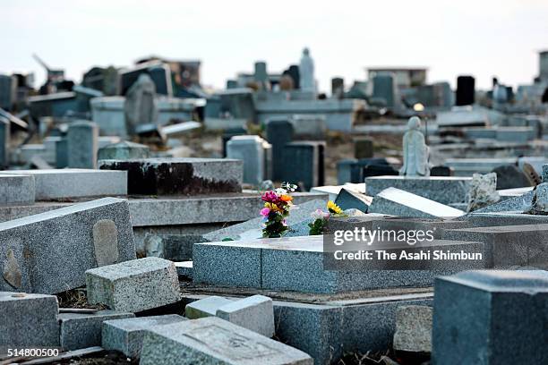 Flowers are placed at a cemetery where most of tomb stones remain toppled since the tsunami devastated five years ago as the area had been designated...