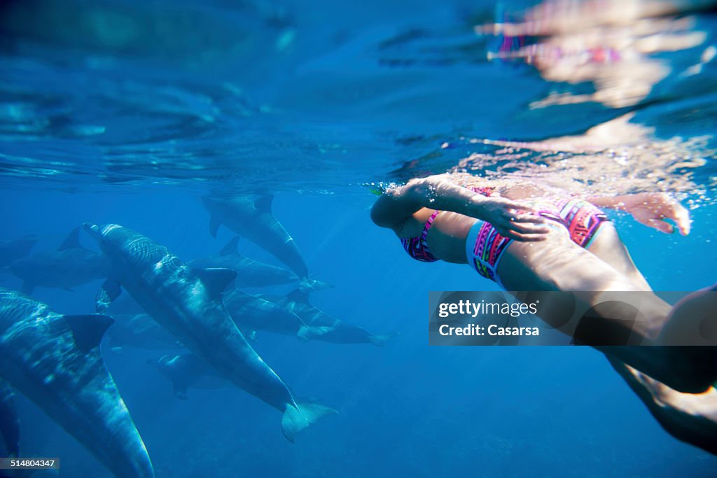 Swiming in the Indian ocean with dolphins