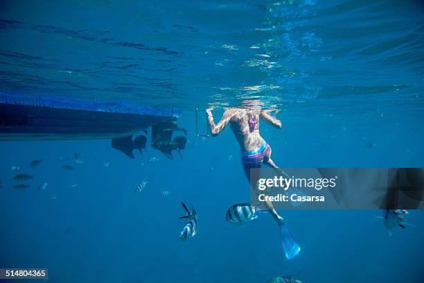 verwöhnen im indischen ozean - schwimmflosse stock-fotos und bilder