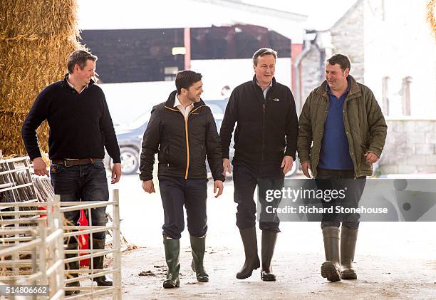 Prime Minister David Cameron with farm owners Richard and David Williams and Secretary of State for Wales Stephen Crabb during Visit to Tyfos Farm in...