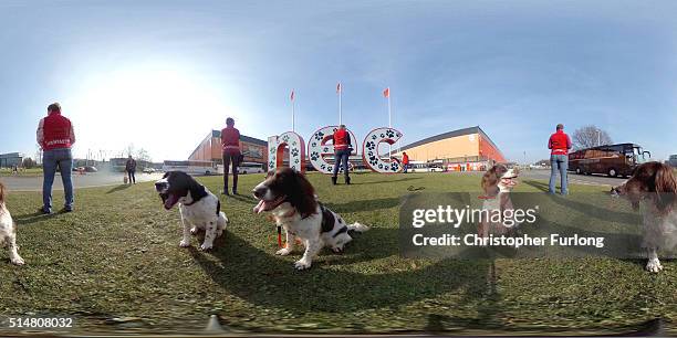 The Spantastic Spanners - English Springer Spaniel Obreedience Team rehearse their display in front of the NEC on the second day of Crufts Dog Show...