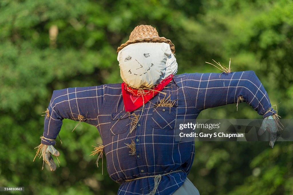 Scarecrow in garden at sunset