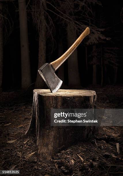 axe buried into stump in the dark - baumstumpf stock-fotos und bilder