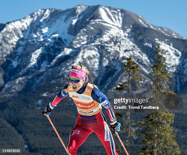 March 11: Therese Johaug during Cross Country Ladies 10.0 km Individual Free on March 11, 2016 in Canmore, Canada .