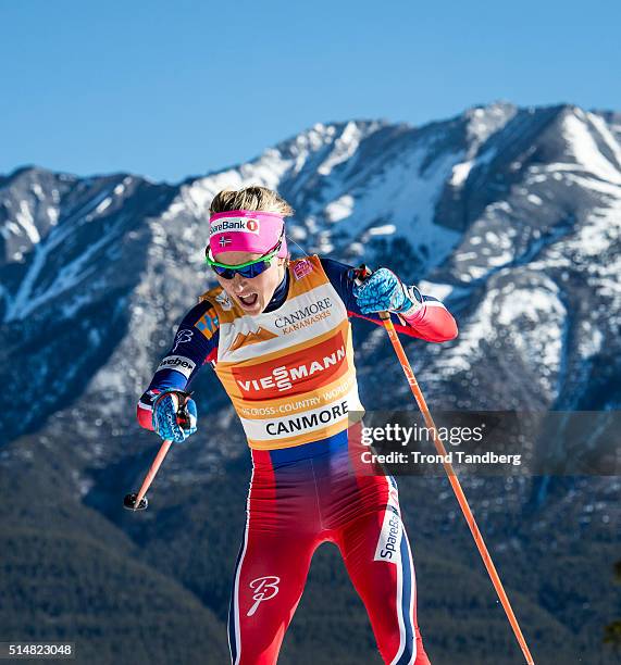 March 11: Therese Johaug during Cross Country Ladies 10.0 km Individual Free on March 11, 2016 in Canmore, Canada .