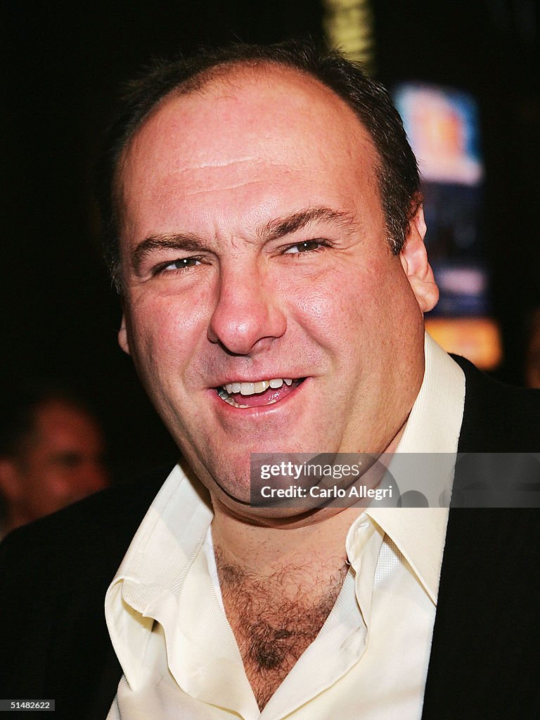 CA - Dreamworks Premiere Of Surviving Christmas