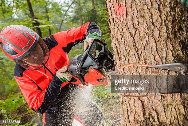 man cutting tree - chainsaw stock pictures, royalty-free photos & images